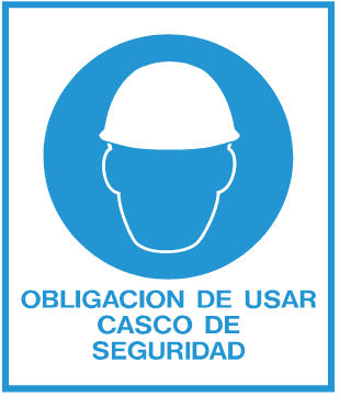 OBLIGACION DE USAR CASCO